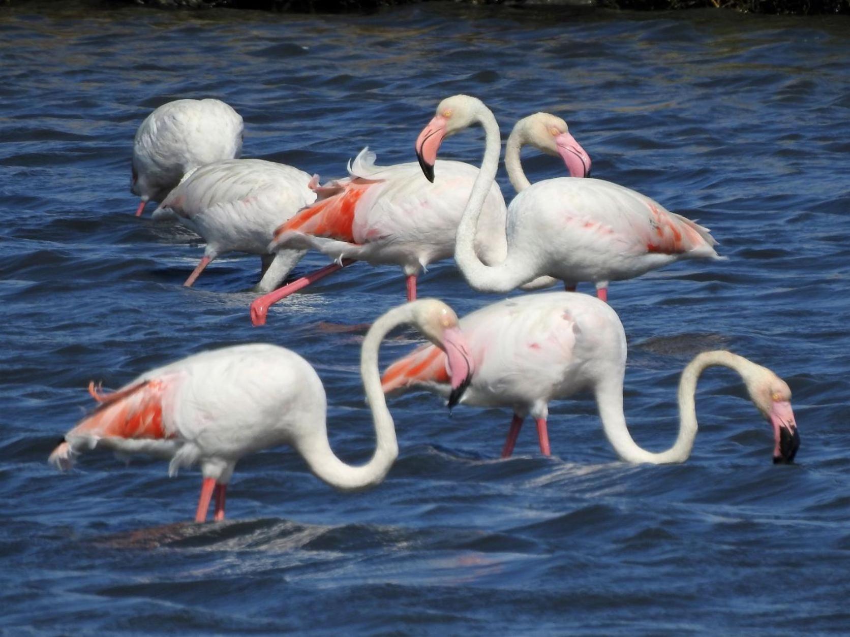 Vila Natura Barreiro  Buitenkant foto